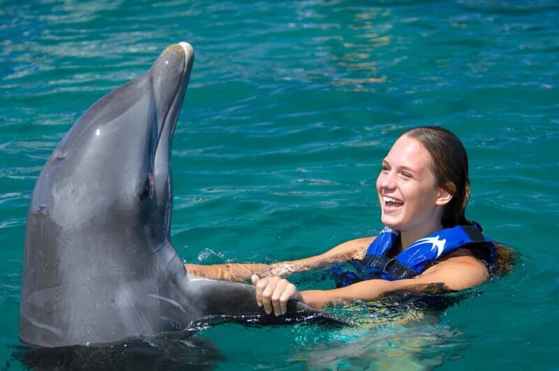 Punta Cana: Dolphin Explorer Swims and Interactions - Key Points