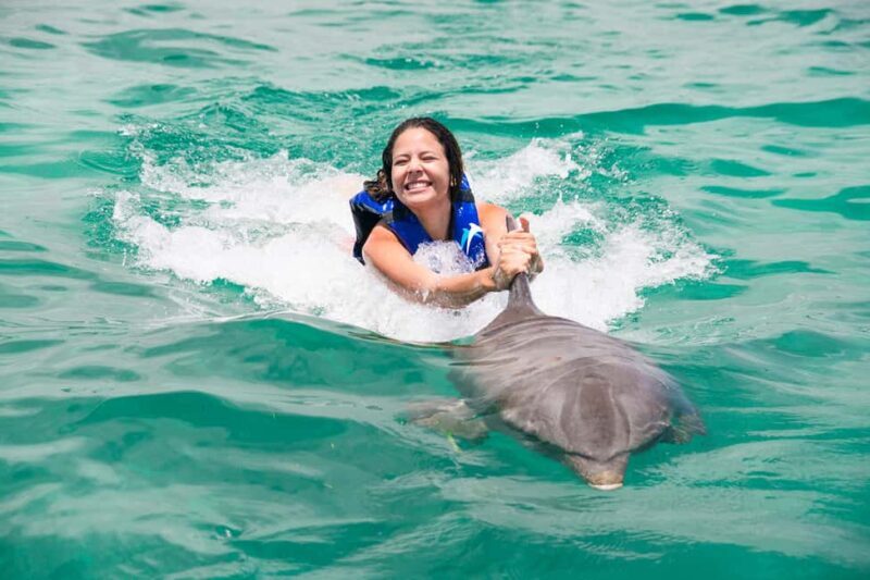 Punta Cana: Dolphin Explorer Swims and Interactions - Real Guest Feedback