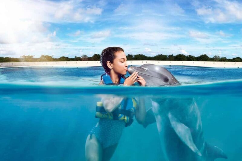 Punta Cana: Dolphin Interaction Experience & Hotel Transfers - What Makes This Tour Stand Out?