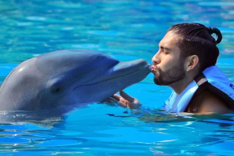 Punta Cana: Dolphin Interaction Experience & Hotel Transfers - Who is This Tour Best For?
