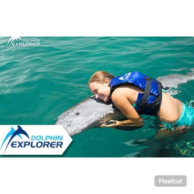 Punta Cana: Dolphin Park Entry and Swim with Dolphins - Key Points