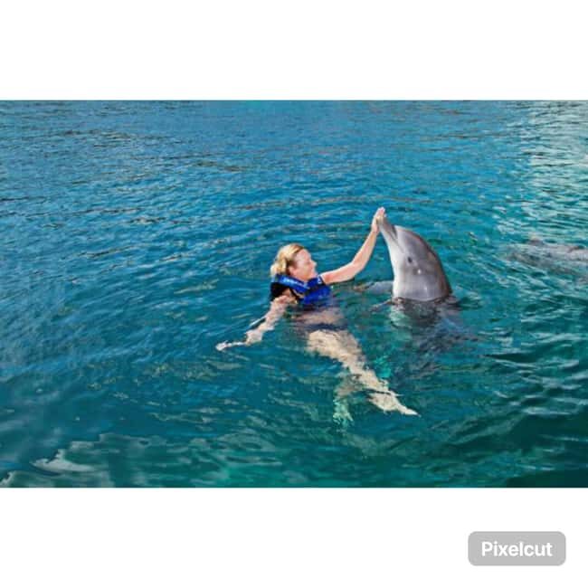 Punta Cana: Dolphin Park Entry and Swim with Dolphins - What You Can Expect from the Tour