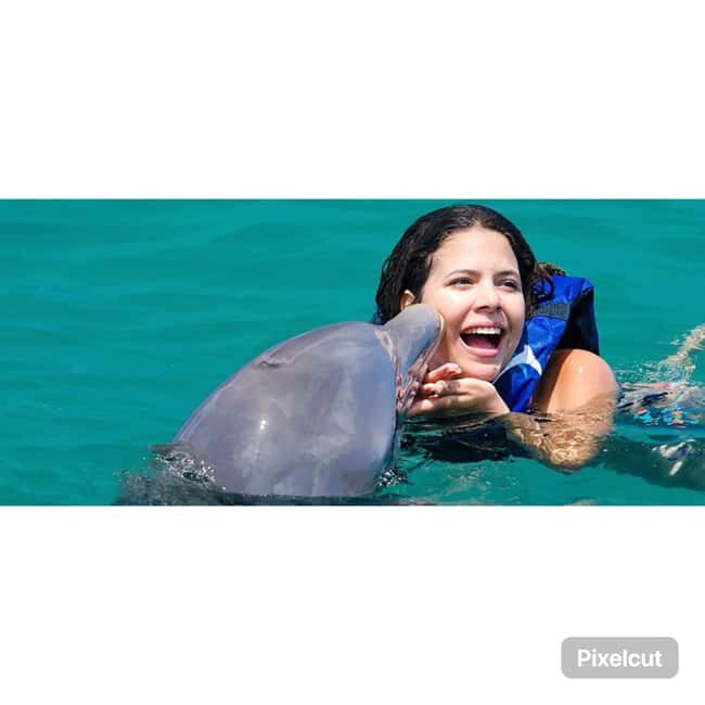 Punta Cana: Dolphin Park Entry and Swim with Dolphins - Practical Tips and Considerations