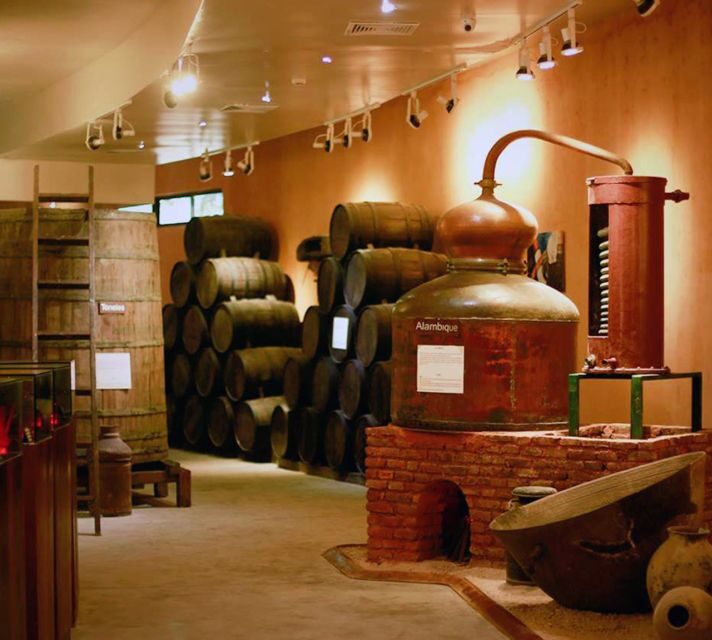 Punta Cana: Dominican Flavors Guided Day Trip - FAQ