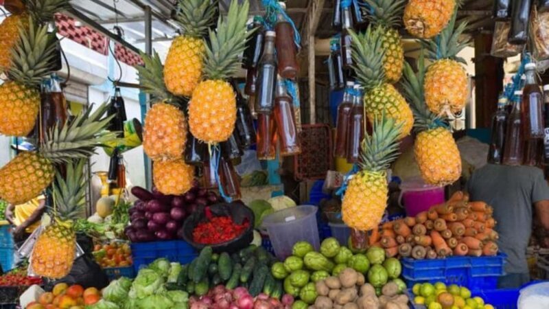 Punta Cana: Dominican Republic Culture Tour - Key Points