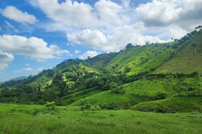 Punta Cana Dominican Republic Small Group Cultural Tour Safari - A Detailed Look at the Tour Experience