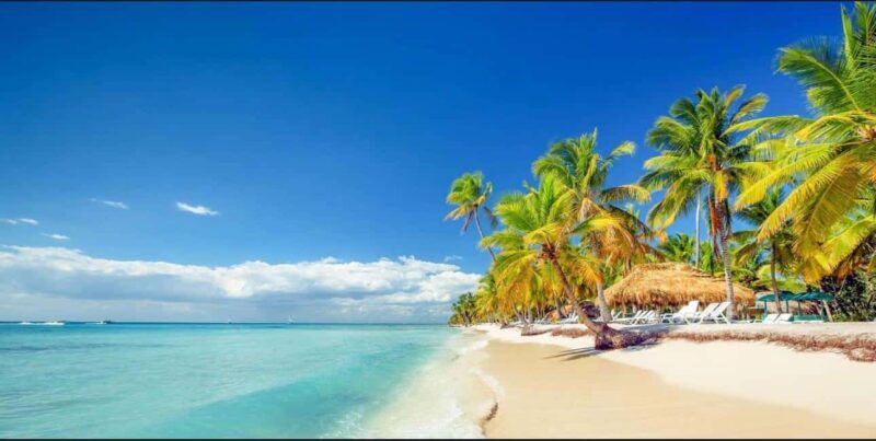 Punta Cana : Done Buggy Excursions AtV /cenote on the Beach - Final Thoughts