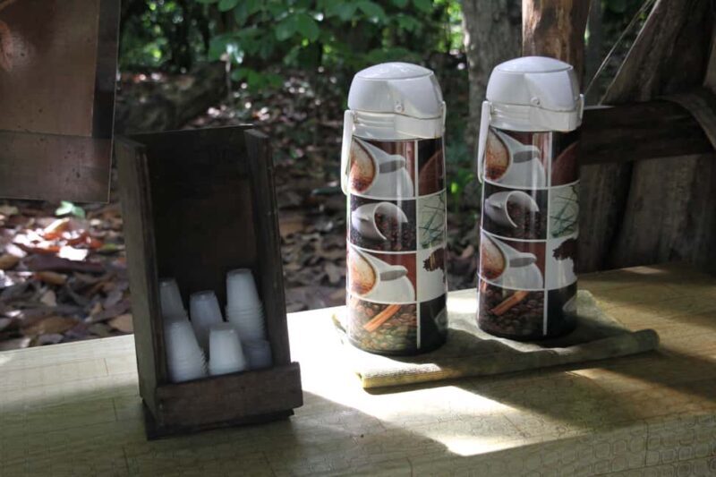 Punta Cana E-bike tour: Macao, El Salado, Ceiba, El Caño - Key Points