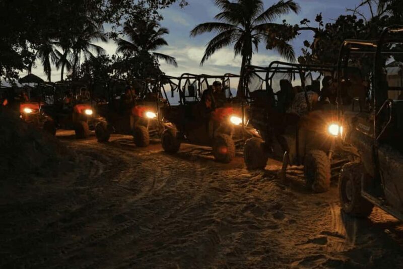 Punta Cana: Evening Buggy Ride, Cenote Swim, Dinner, & Show - Practical Insights for Travelers