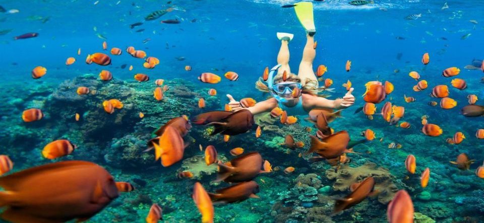 Punta Cana Excursions & Tours - Punta Cana Adventures - Inclusions in Punta Cana Experiences