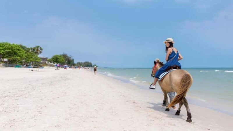 Punta Cana: Full-Day Adventure with Lunch & Drinks - Is This Tour Worth It?