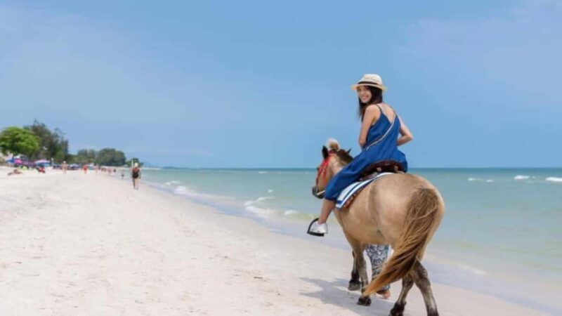 Punta Cana: Full-Day Adventure with Lunch & Drinks - FAQ
