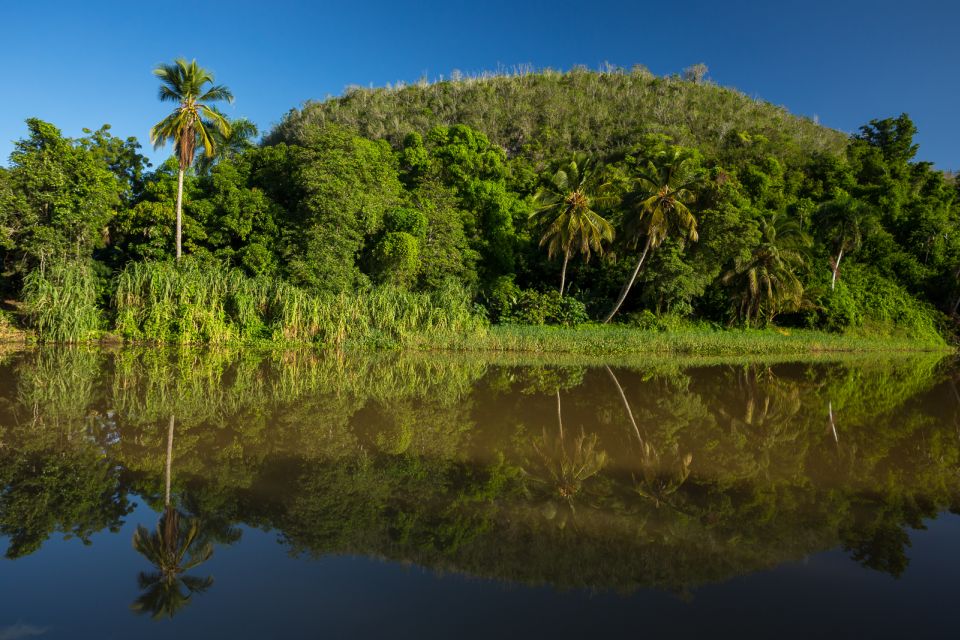 Punta Cana: Full Day Boat Trip to Catalina Island With Lunch - Key Points