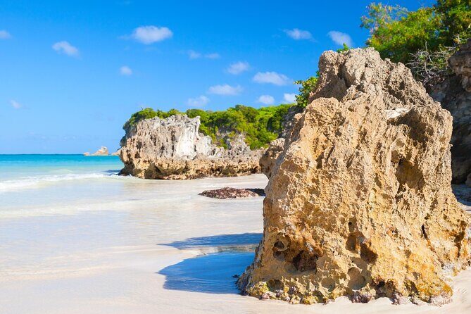 Punta Cana Guided Buggy Adventure Tour - The Itinerary: What to Expect and Why It Matters