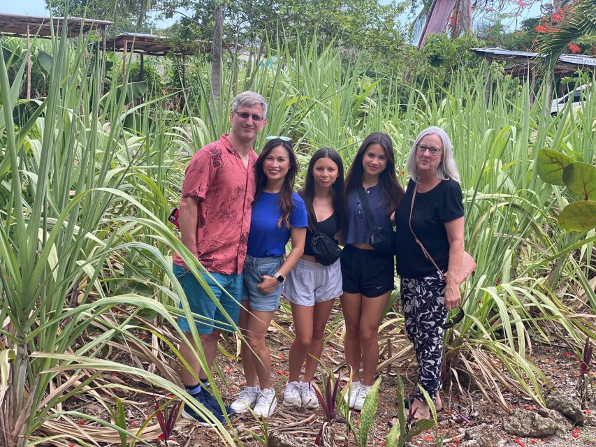 Punta Cana: Guided Half-Day Tour With Pickup Service - Inclusions and Amenities