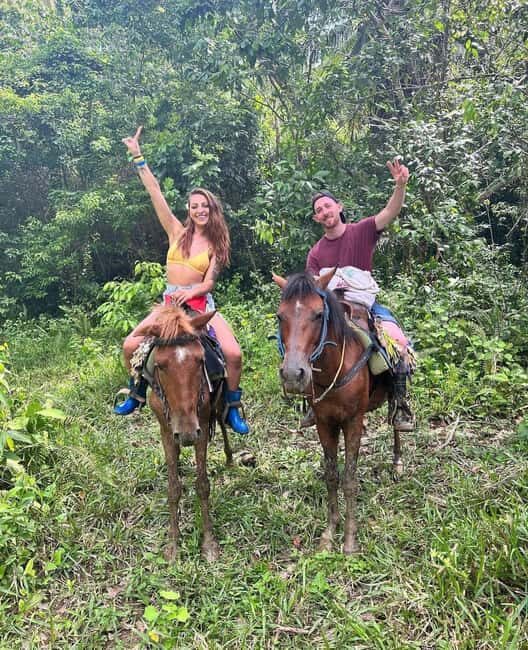 Punta Cana: Guided Horseback Tour of Beaches and Fields - Starting at the Ranch: First Impressions