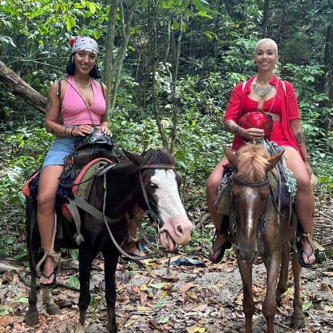 Punta Cana: Guided Horseback Tour of Beaches and Fields - The Highlight: Galloping on the Beach