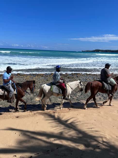 Punta Cana: Guided Horseback Tour of Beaches and Fields - Photo Stops and Cultural Insights