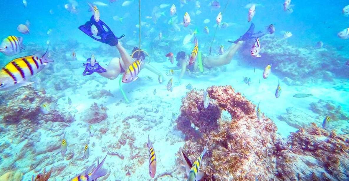 Punta Cana: Guided Power Dive Adventure - Included Amenities