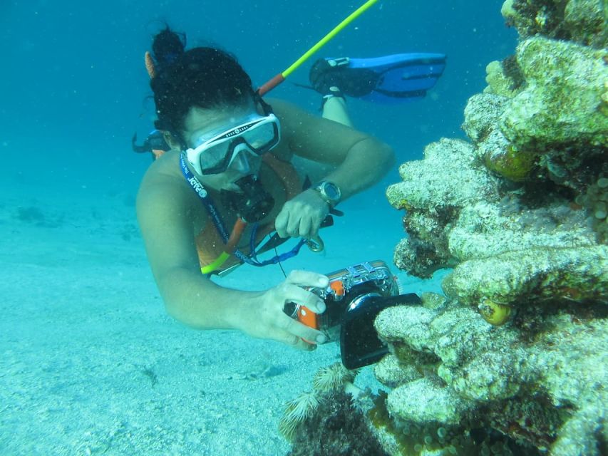 Punta Cana: Guided Power Dive Adventure - Natural Pool Adventure