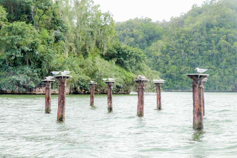 Punta Cana: Haitises, Cano Hondo, Redonda Mountain Day Trip - A Closer Look at the Tour Itinerary