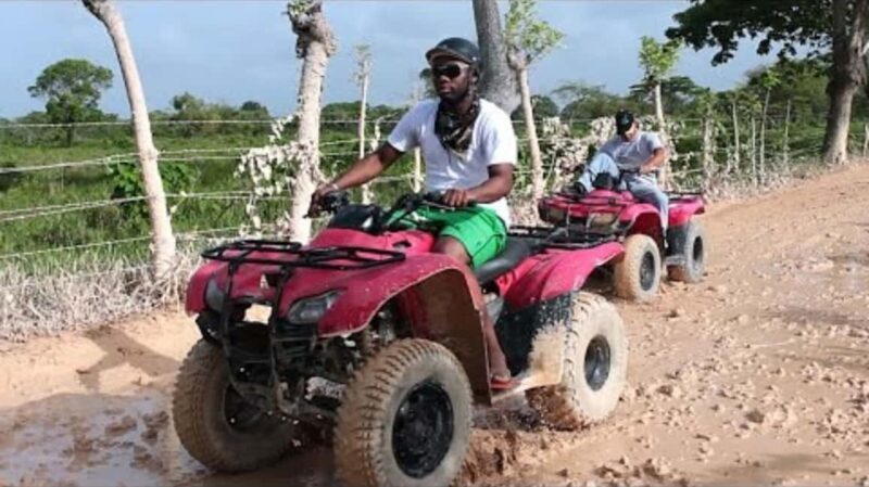 Punta Cana: Half Day Tour Adventure Buggy Cenote Macao Beach - What the Reviews Tell Us