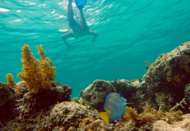 Punta Cana Happy Hour Sailing Cruise - Final Thoughts: Who Should Consider This Tour?