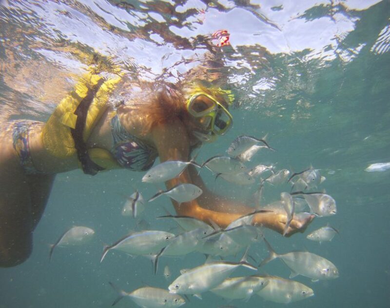 Punta Cana Happy Hour Sailing Cruise - Final Word