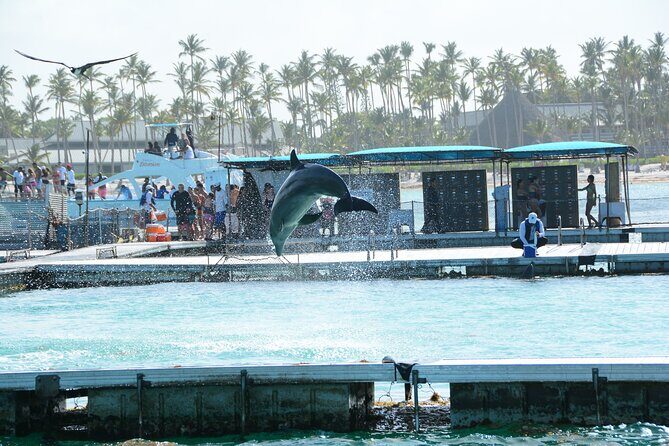 Punta Cana Hip Hop Party Boat with Snorkeling & Unlimited Drinks - The Sum Up