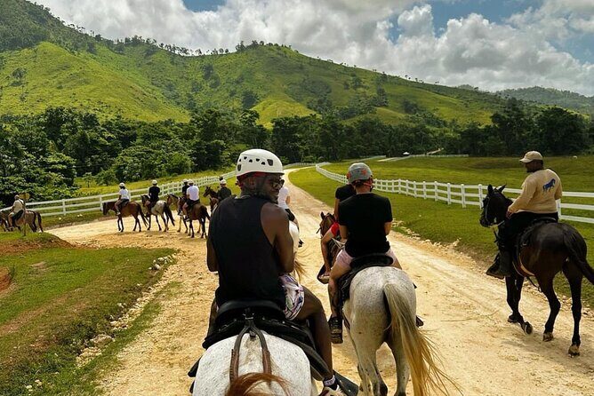 Punta Cana Horse Riding for Beaches in Field - A Detailed Look at the Punta Cana Horse Riding Experience
