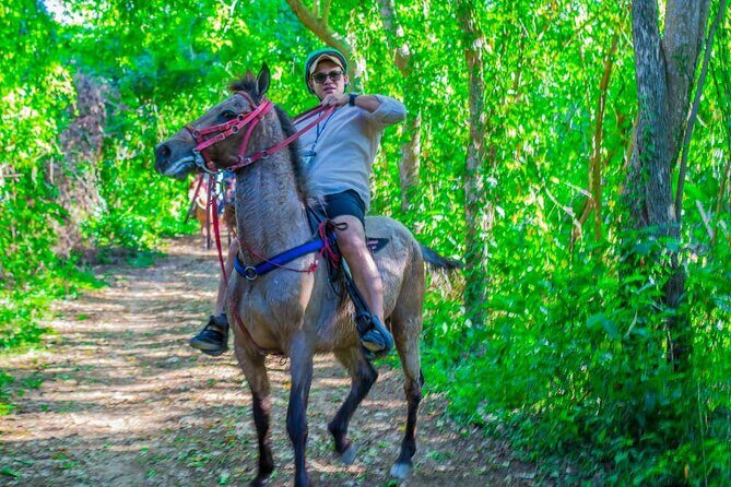 Punta Cana Horseback Ride: Jungle, Macao Beach & Free Pick Up - Introduction