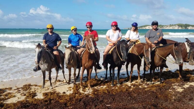 Punta Cana: Horseback Ride to Macao Beach - Who Should Consider This Tour?
