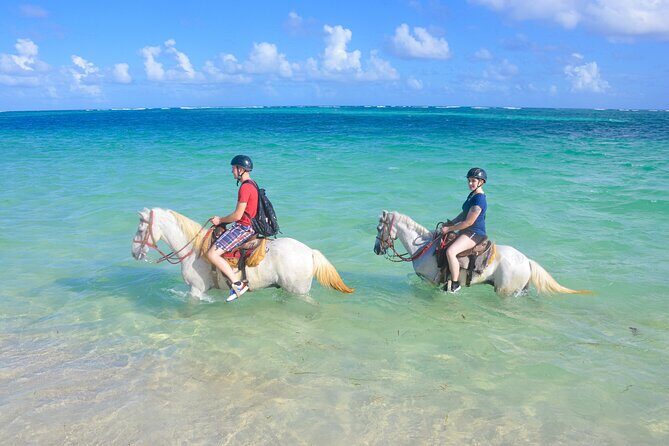 Punta Cana Horseback Riding Adventure - Key Points  