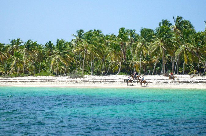 Punta Cana Horseback Riding Adventure - Who Should Consider This Tour?