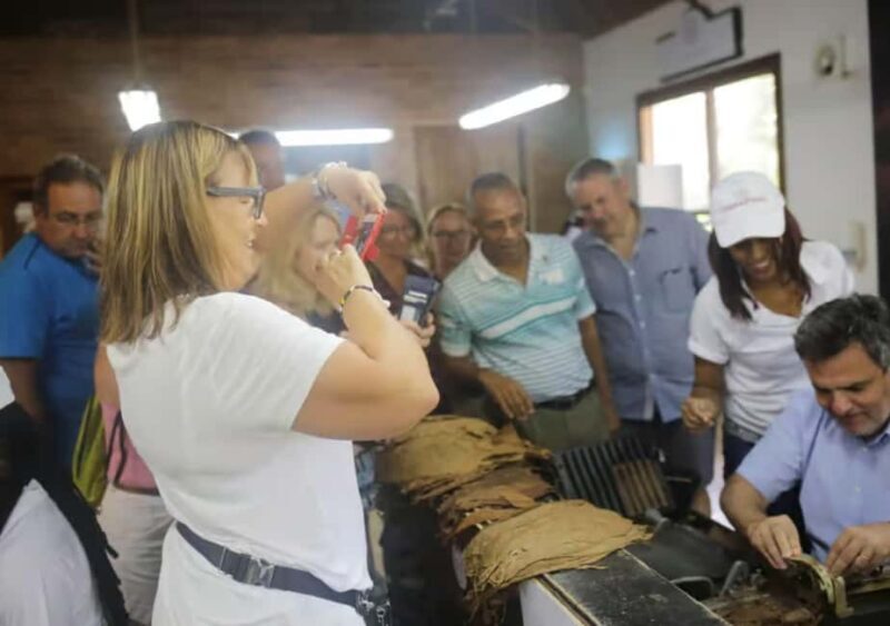 Punta Cana: Horseback Riding Adventure Free Hotel Pickup - What Makes This Tour Stand Out?