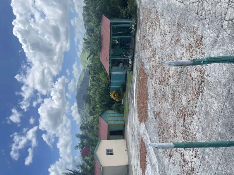 Punta Cana: Horseback Riding Adventure with Transfers - Key Points  