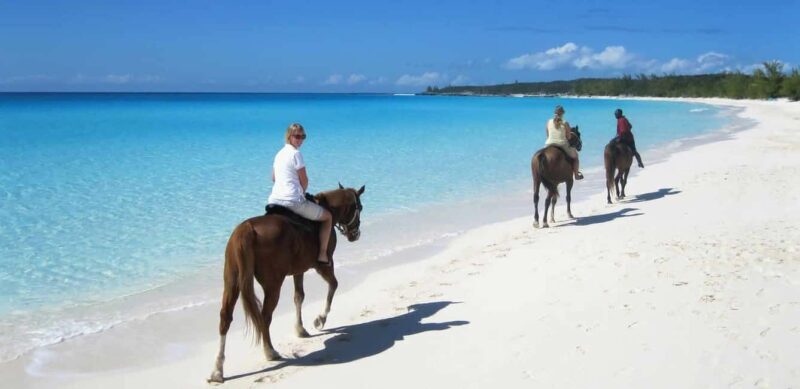Punta Cana: Horseback Riding through Stunning Beaches - Key Points