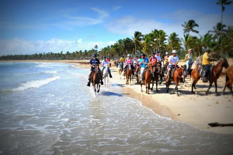 Punta Cana: Horseback Riding through Stunning Beaches - The Sum Up