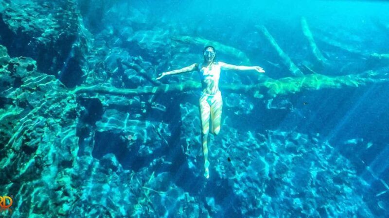 Punta Cana: Hoyo Claro Cenote and Juanillo Beach Tour - Flexible Shopping and Local Flavors