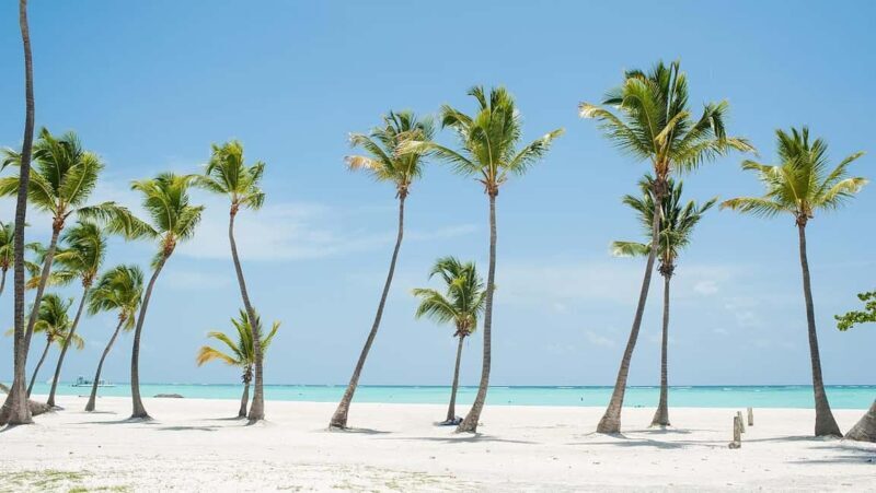 Punta Cana: Hoyo Claro Cenote and Juanillo Beach Tour - Value and Final Thoughts