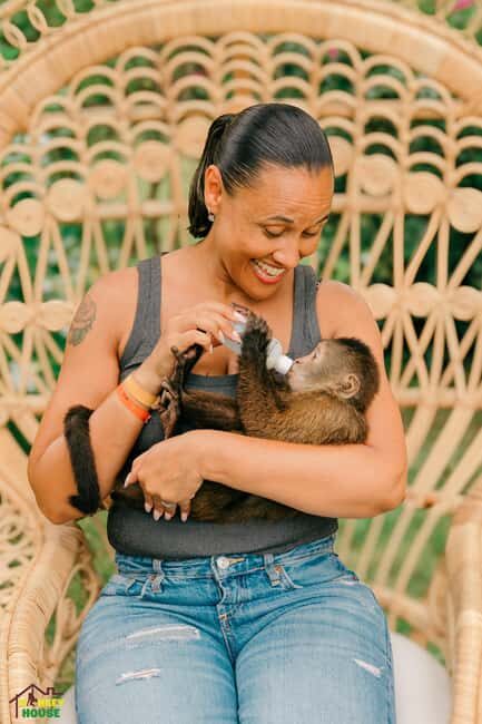 Punta Cana: Interactive Experience at Monkey House - The Value for Travelers