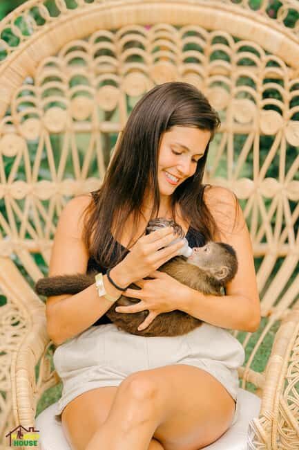Punta Cana: Interactive Experience at Monkey House - Who Should Consider This Tour?