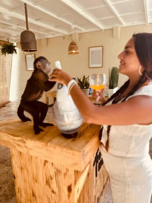 Punta Cana: Interactive Experience at Monkey House - FAQs