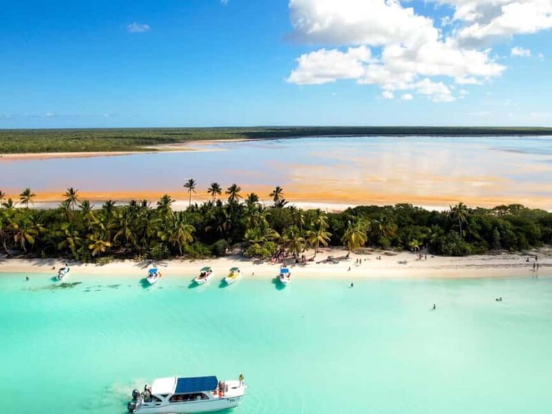 Punta Cana: Isla Saona Day Trip with Catamaran Cruise - A Complete Breakdown of the Experience