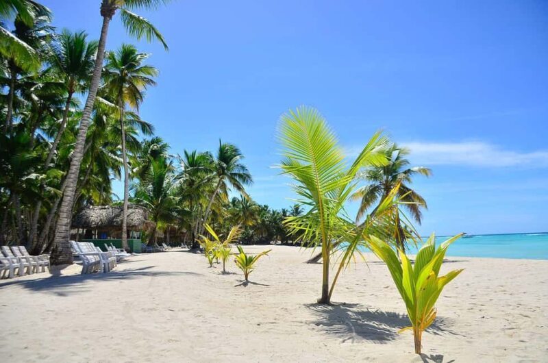 Punta cana: Island Escape to Saona  catamaran & Beach lunch - An In-Depth Look at the Experience