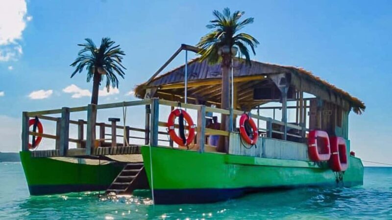 Punta Cana: Jamaican Party Boat w/ OPEN BAR And DJ (Adults) - Who Should Book This Tour?
