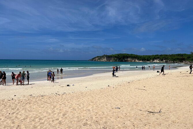 Punta Cana Jungle Buggy Tour: Macao Beach Visit and Cenote Swim - Authenticity, Fun, and Customer Experience