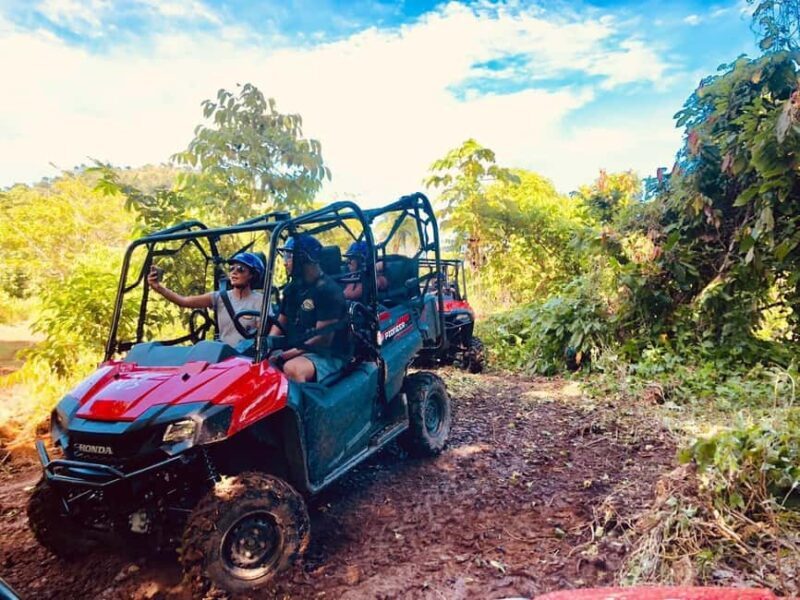 Punta Cana: Jungle Buggy Tour with Monkeyland Visit - An In-Depth Look at the Jungle Buggy Tour