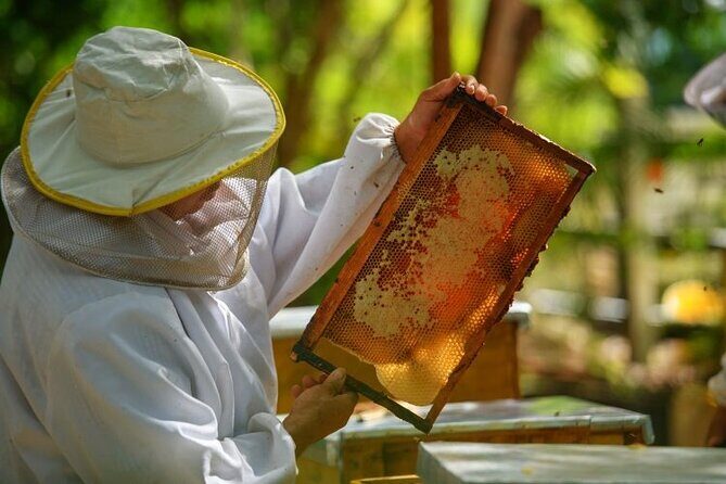 Punta Cana Lagoon Tour with Lunch, Boat Cruise, Open Bar - The Sum Up