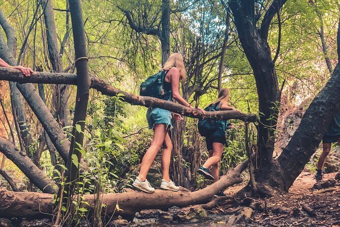 Punta Cana: Los Haitises Hike & Kayaking Mangroves - Introduction